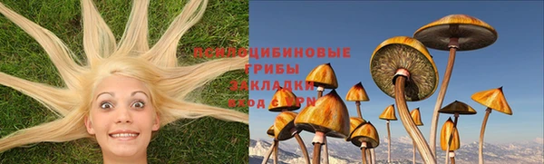 мяу мяу мука Бородино