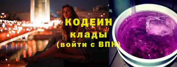 спиды Богородицк