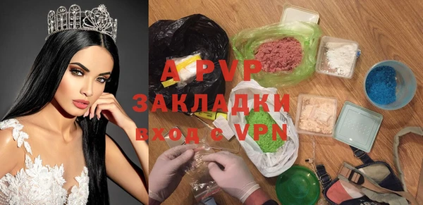 спиды Богородицк