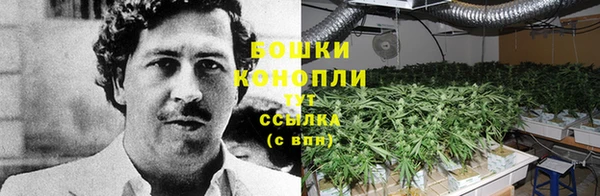 спиды Богородицк