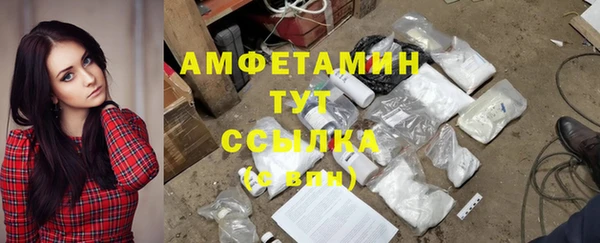дмт Богородск