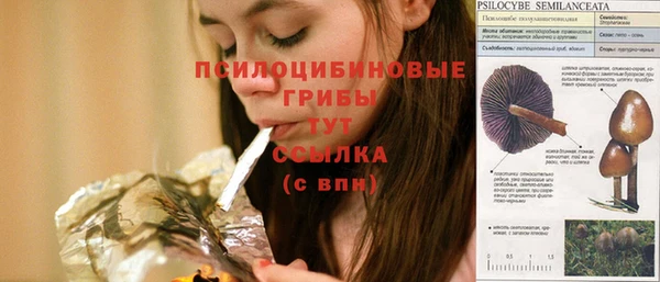 мяу мяу мука Бородино