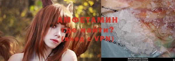 спиды Богородицк