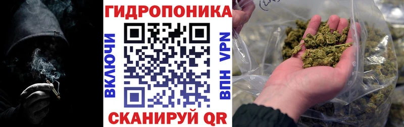 Каннабис план  Краснозаводск 